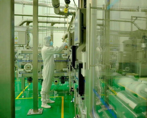 从肩扛奶粉到数字人 中国草根创业者的技术转型之路